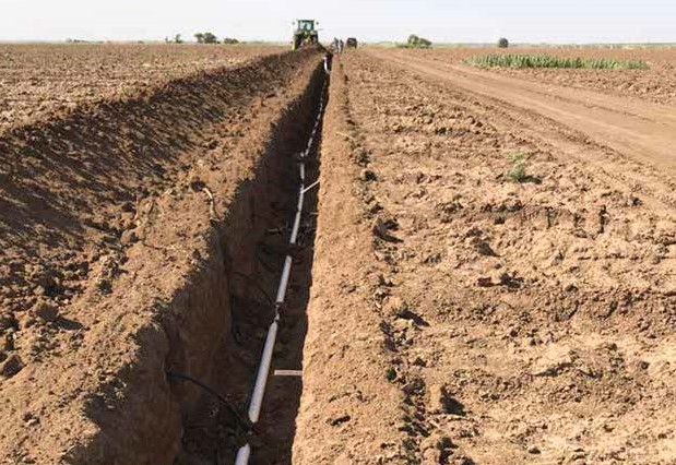 آبیاری قطره ای زیرسطحی