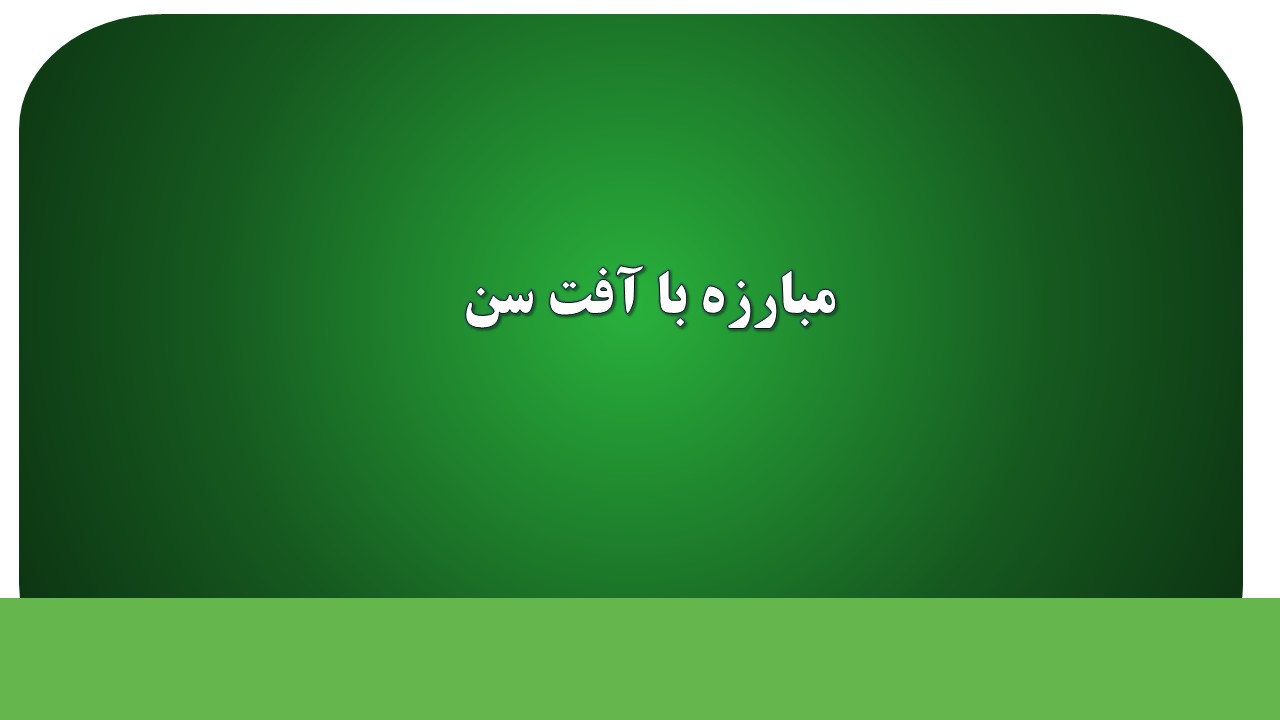 مبارزه با آفت سن