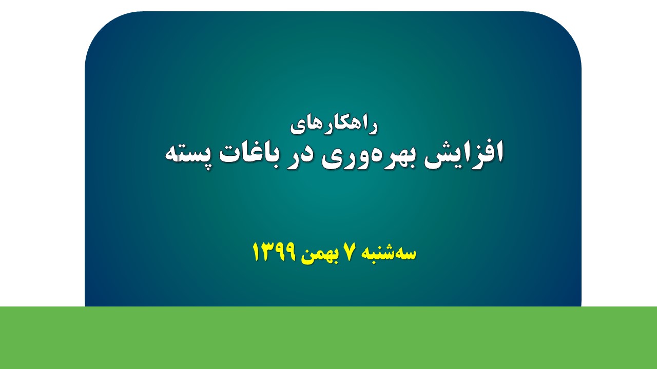 راهکارهای افزایش بهره‌وری در باغات پسته