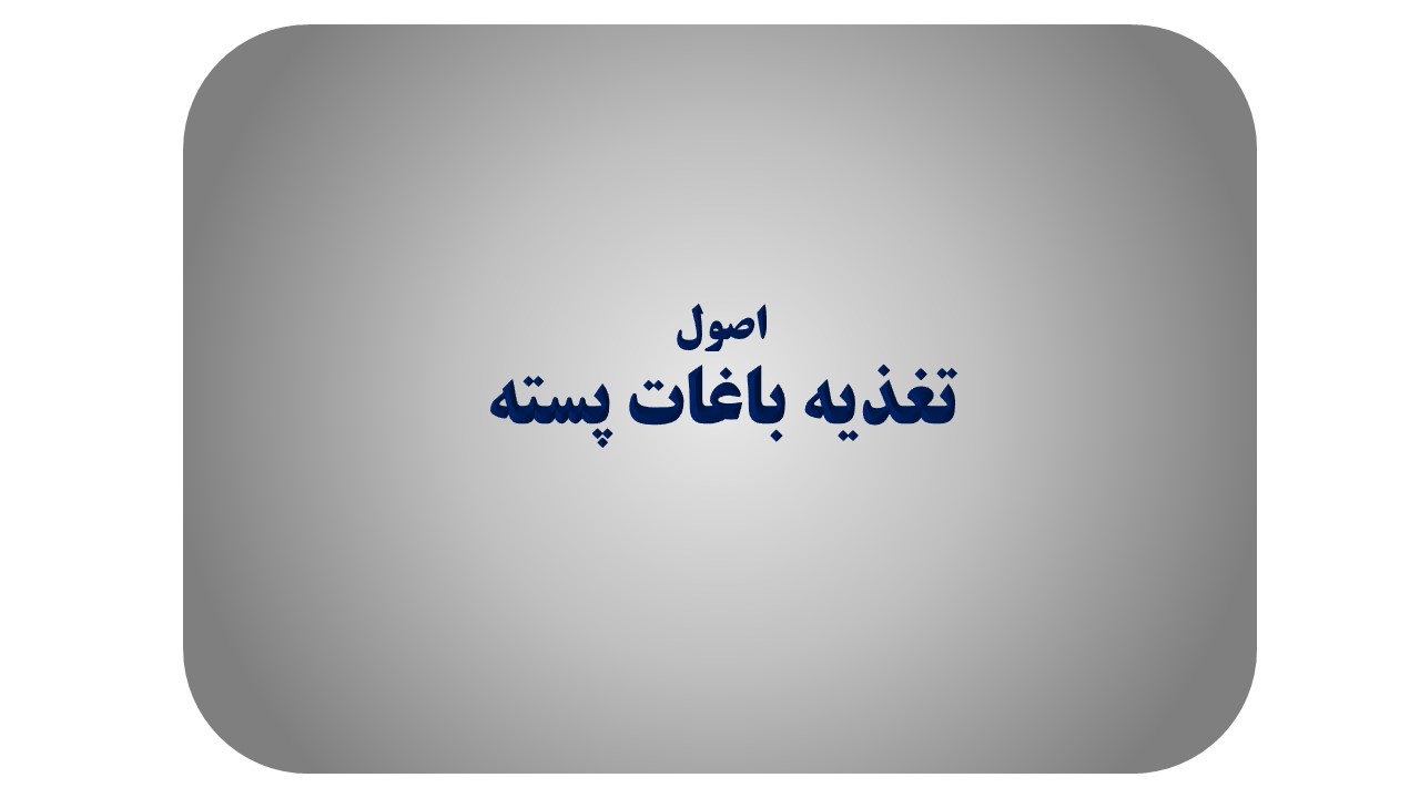 تغذیه درخت پسته بعد از برداشت محصول