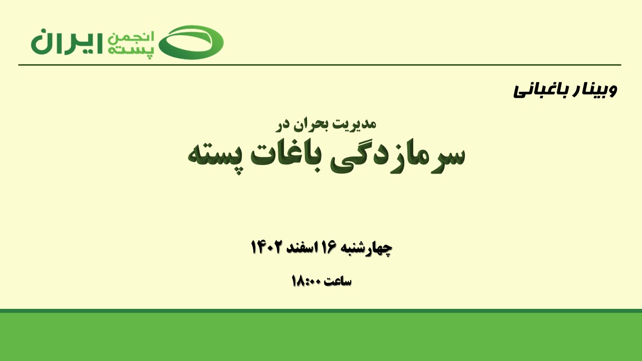 سرمازدگی در باغات پسته