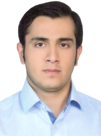 محمدحسین محمدی