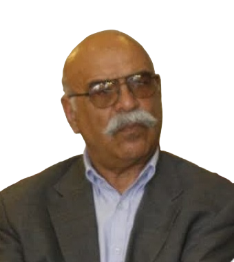 مهدی ایرانی کرمانی