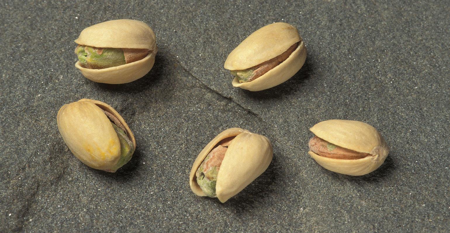 TNFP0401 ARS pistachios