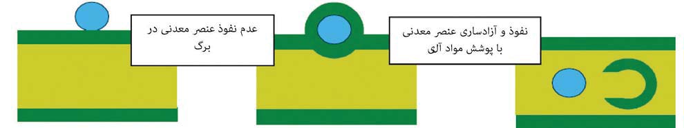 taamoli dar bab2