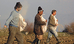 keshavarzan