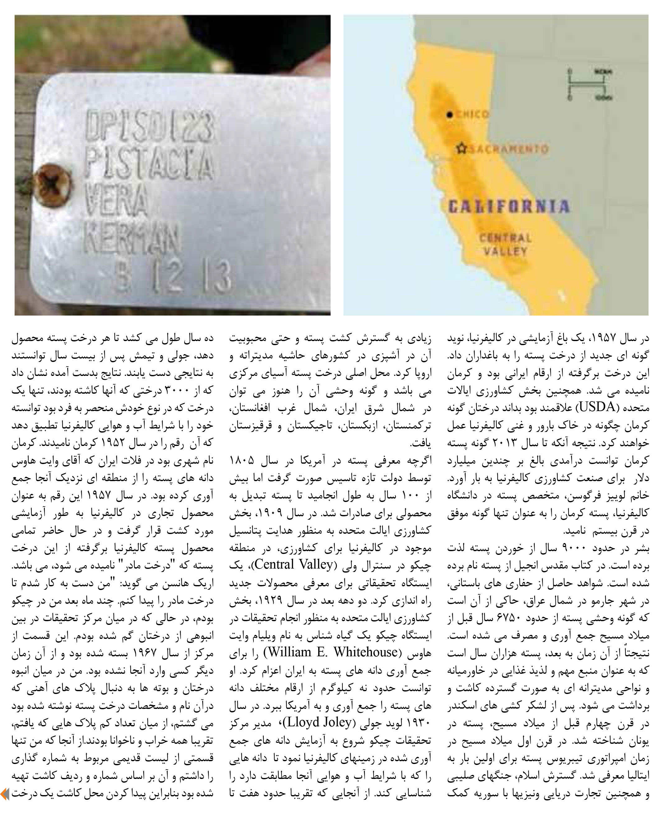 tarikhche peste 1